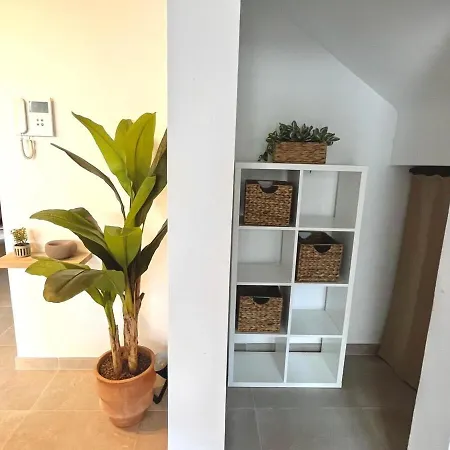 K-palm *